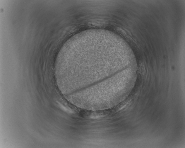 X0000066961009200604211836