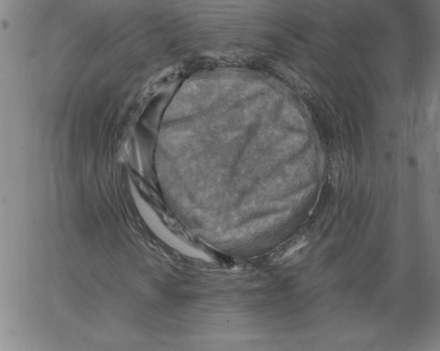 X0000066961010200604211836