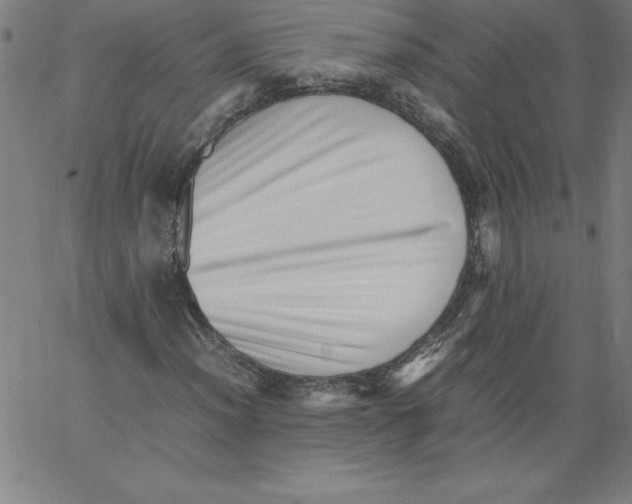 X0000066961012200604211836