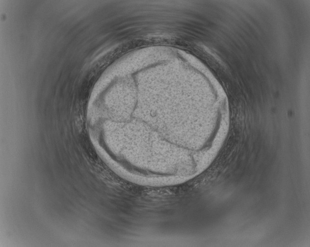 X0000066961015200604211836