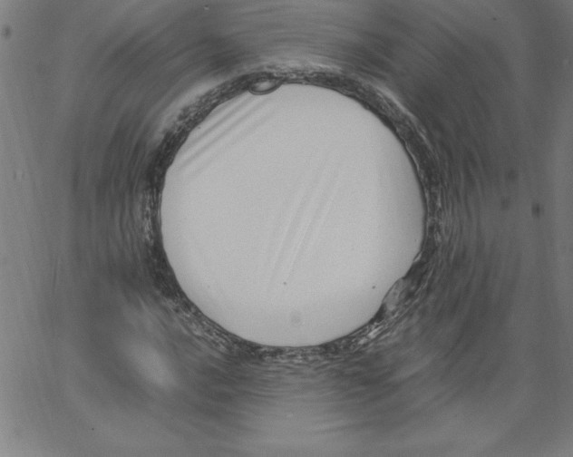 X0000066961016200604211836