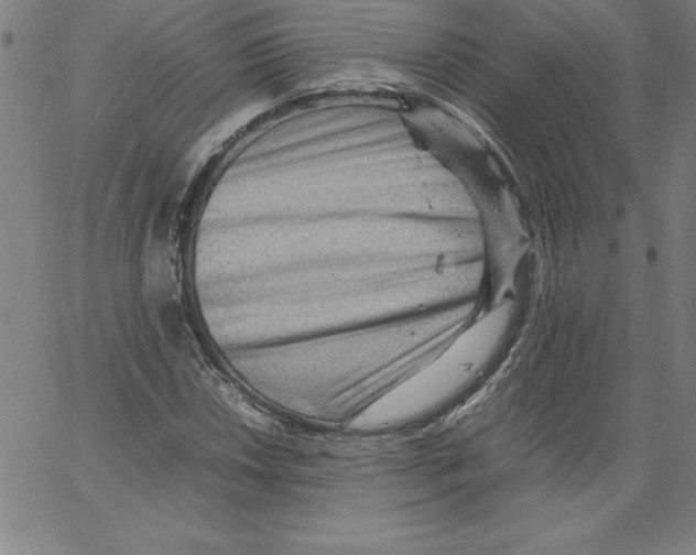 X0000066961018200604211836