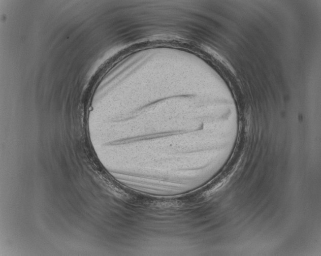 X0000066961021200604211836