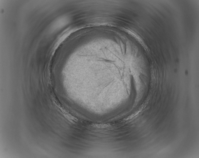 X0000066961023200604211836