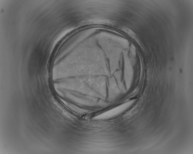 X0000066961024200604211836