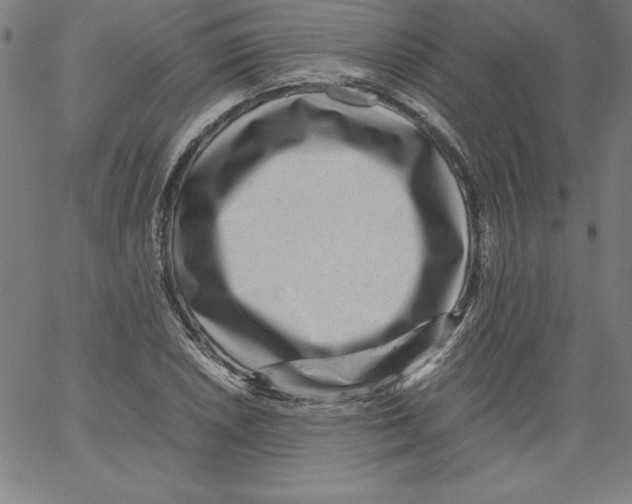 X0000066961026200604211836