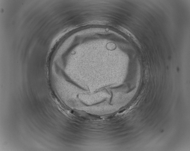 X0000066961027200604211836