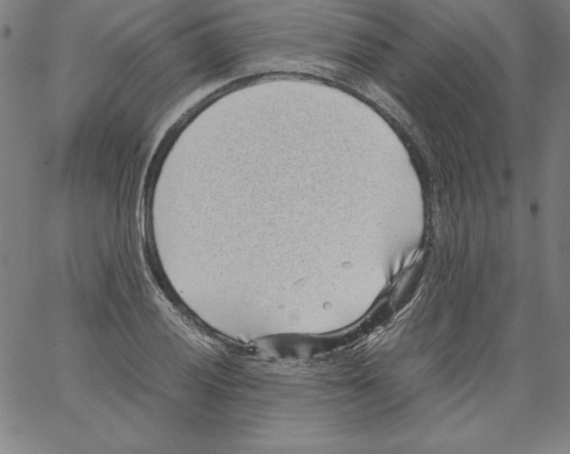 X0000066961028200604211836