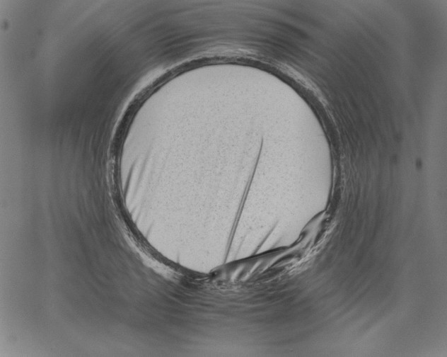 X0000066961029200604211836