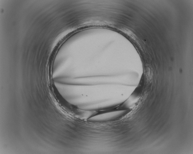 X0000066961030200604211836