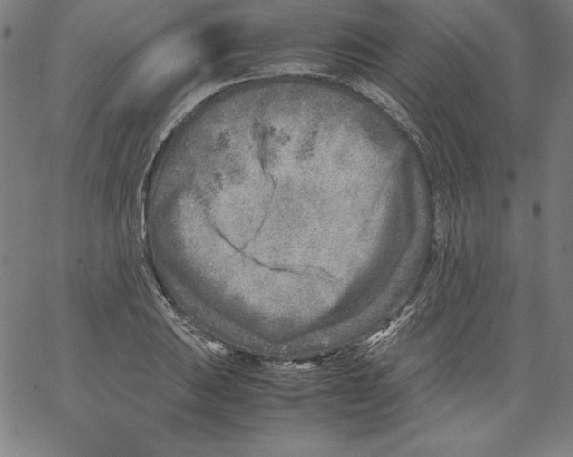 X0000066961031200604211836