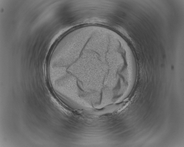 X0000066961032200604211836