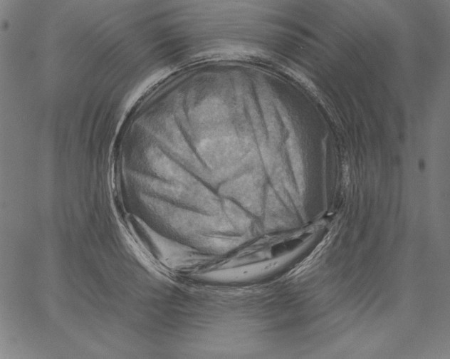 X0000066961034200604211836