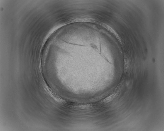 X0000066961035200604211836