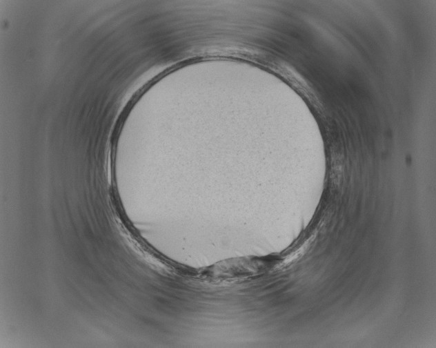 X0000066961036200604211836