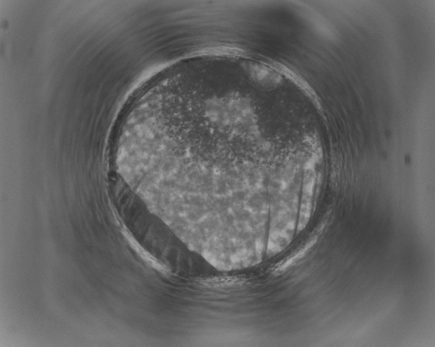 X0000066961037200604211836