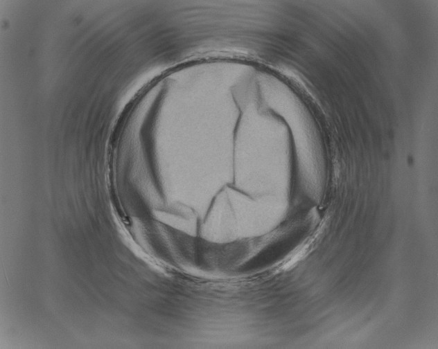 X0000066961038200604211836