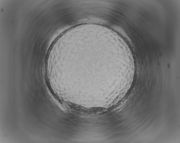 X0000066961040200604211836