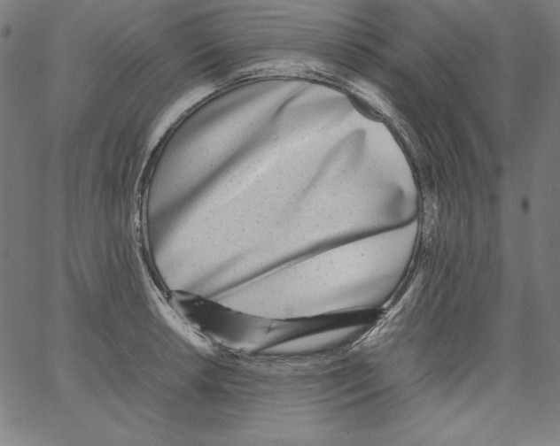 X0000066961042200604211836