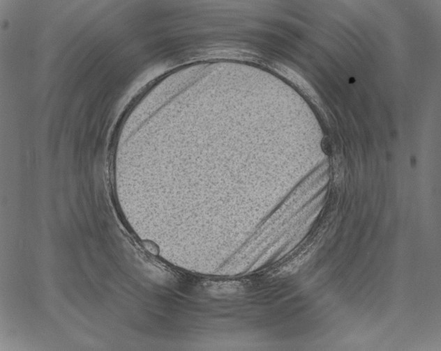 X0000066961043200604211836