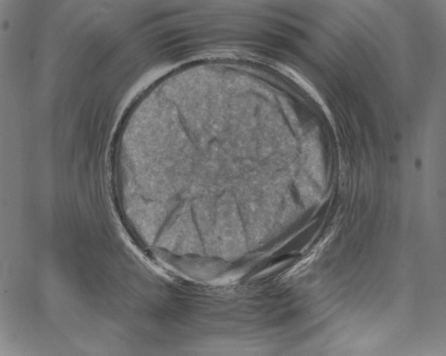 X0000066961045200604211836