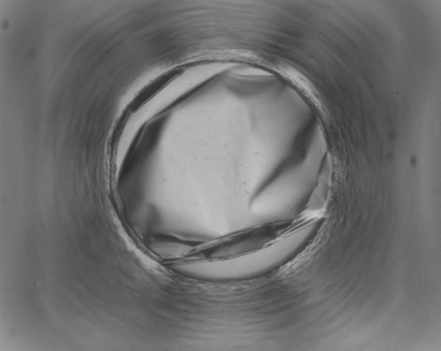 X0000066961046200604211836