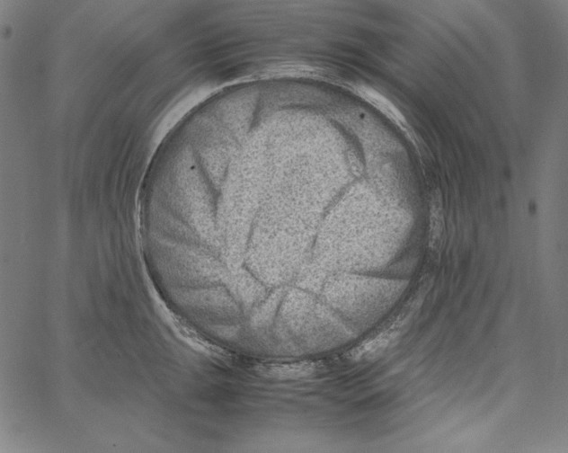 X0000066961047200604211836