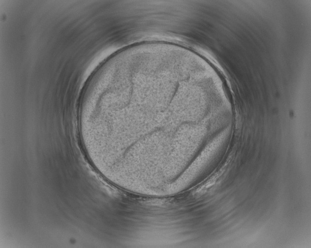 X0000066961048200604211836