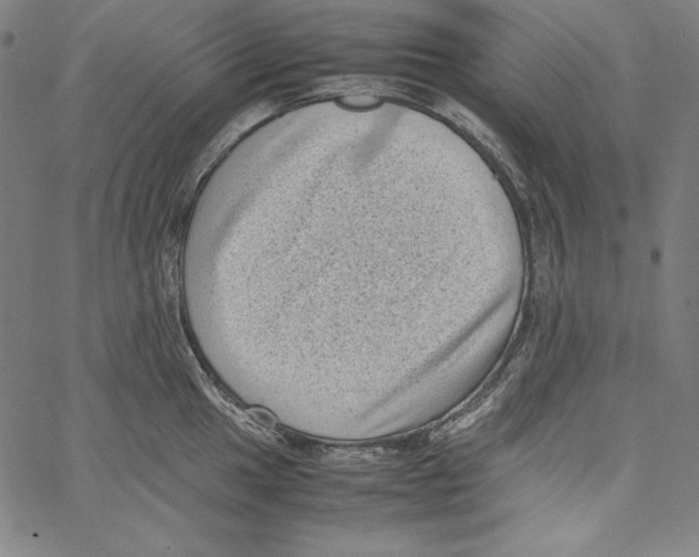 X0000066961049200604211836