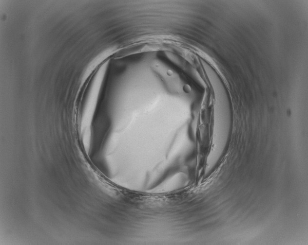 X0000066961050200604211836