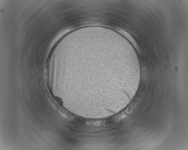 X0000066961051200604211836