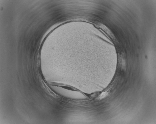 X0000066961052200604211836