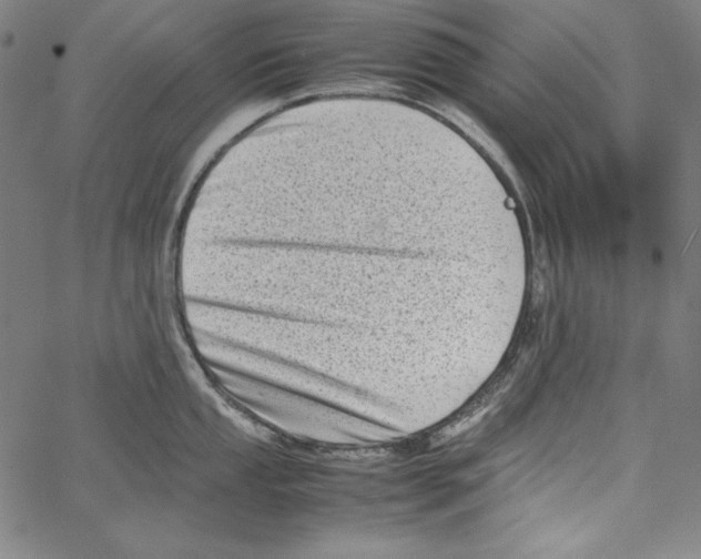 X0000066961053200604211836