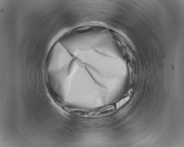 X0000066961054200604211836