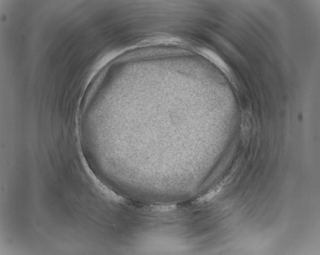 X0000066961055200604211836