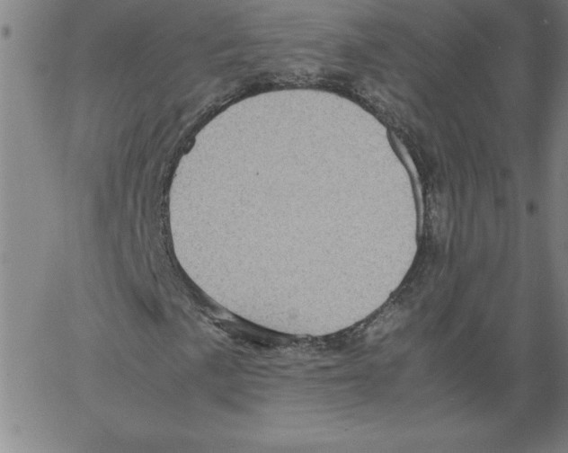 X0000066961057200604211836