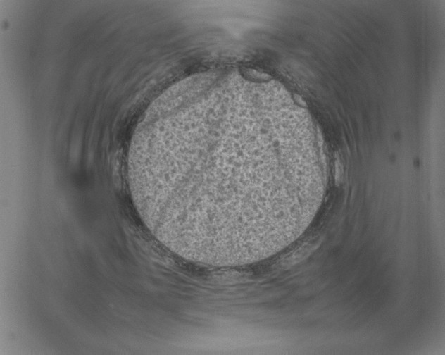 X0000066961059200604211836