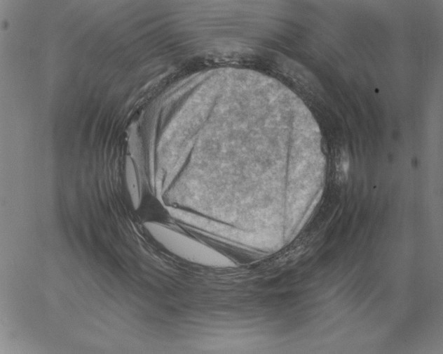 X0000066961060200604211836