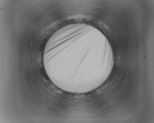 X0000066961062200604211835