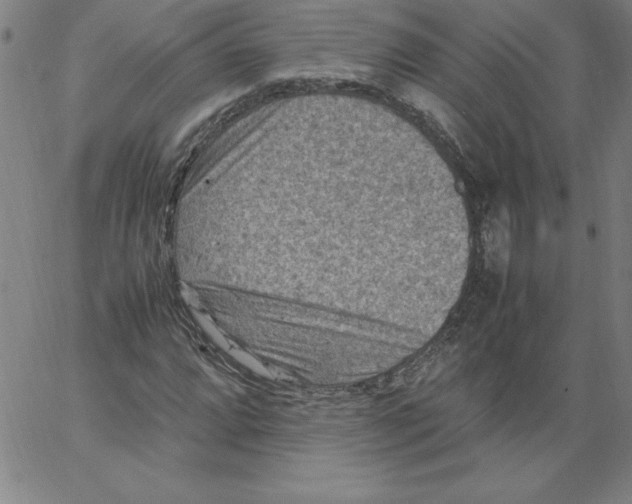 X0000066961064200604211835