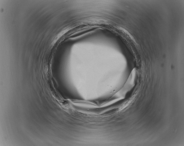 X0000066961065200604211835