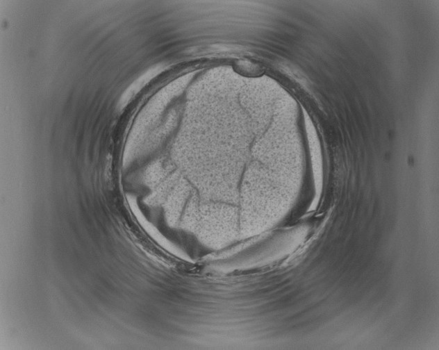 X0000066961066200604211835