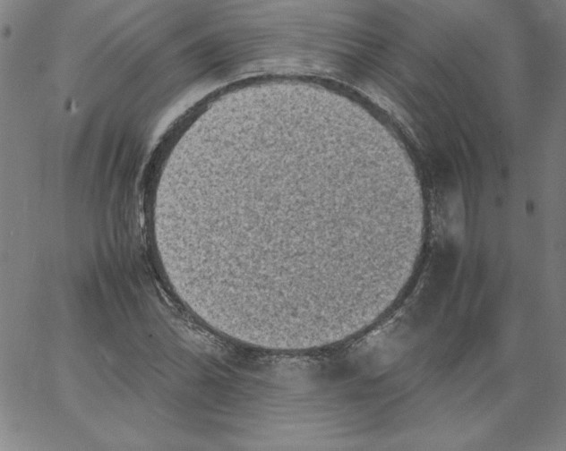 X0000066961070200604211835