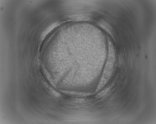 X0000066961071200604211835