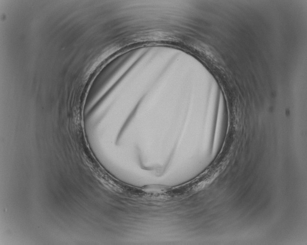 X0000066961073200604211835