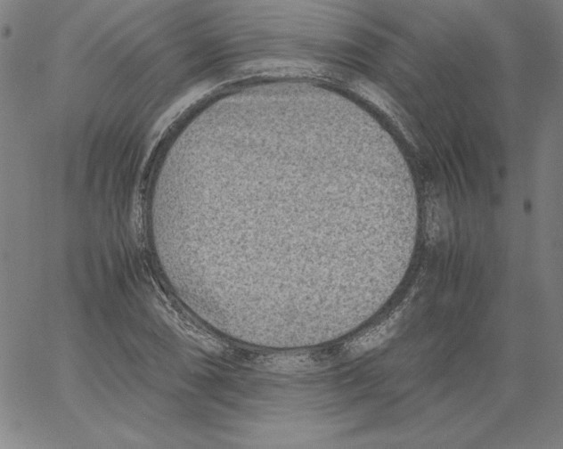 X0000066961074200604211835