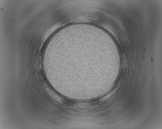 X0000066961075200604211835