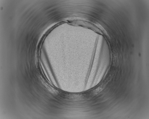 X0000066961076200604211835