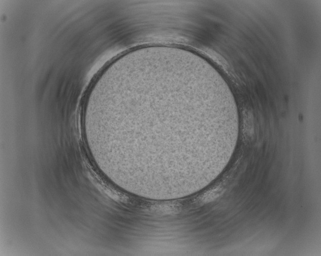 X0000066961078200604211835