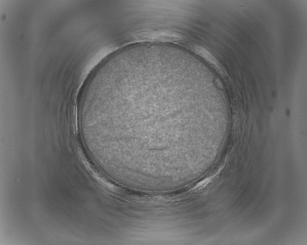 X0000066961079200604211835